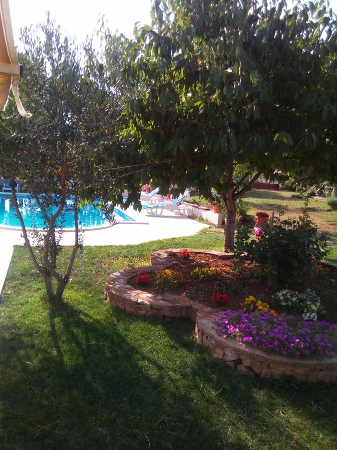 Kaja House Apartments Lozovac Eksteriør billede