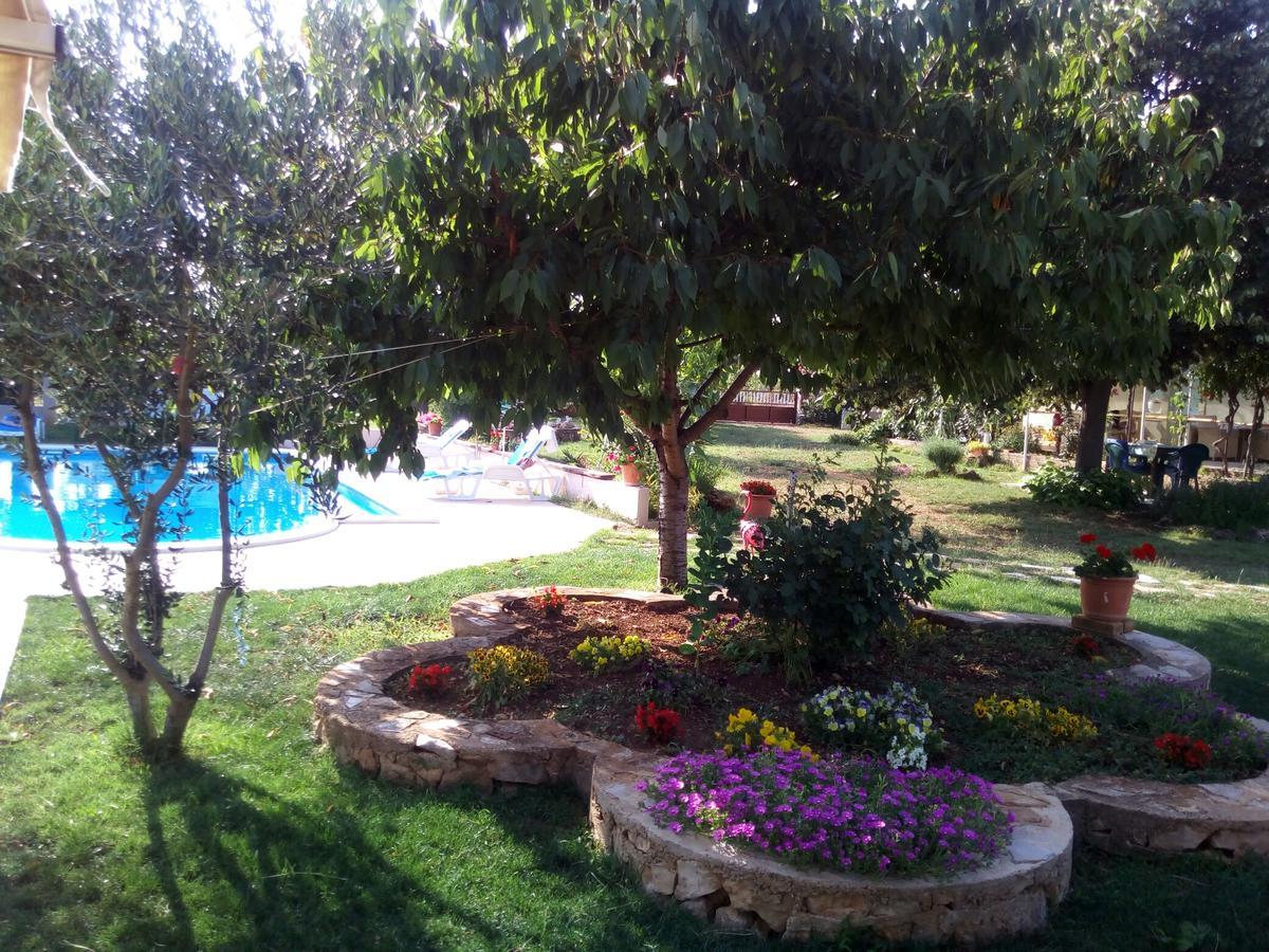 Kaja House Apartments Lozovac Eksteriør billede